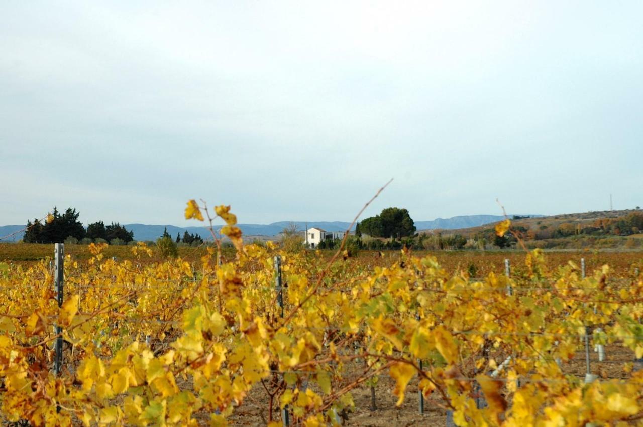 Le Petit Viala Villa Capestang Buitenkant foto